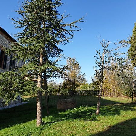 Podere Il Poggio 아시아노 외부 사진