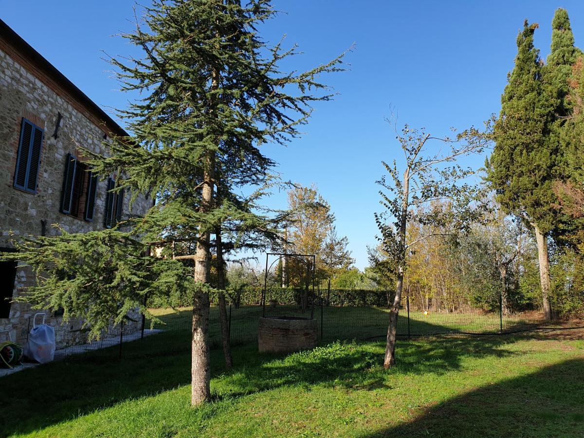 Podere Il Poggio 아시아노 외부 사진