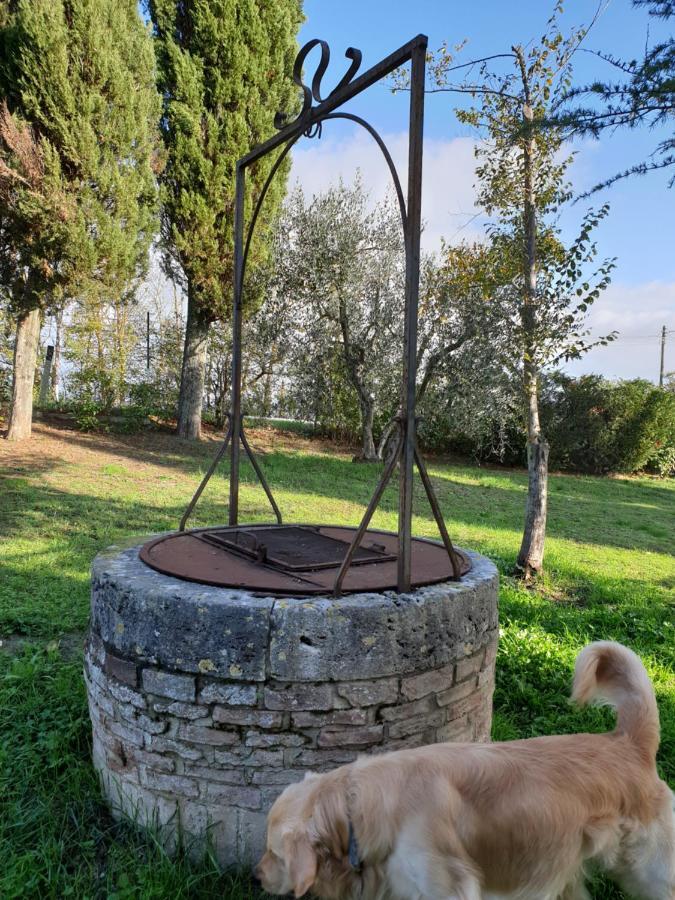Podere Il Poggio 아시아노 외부 사진